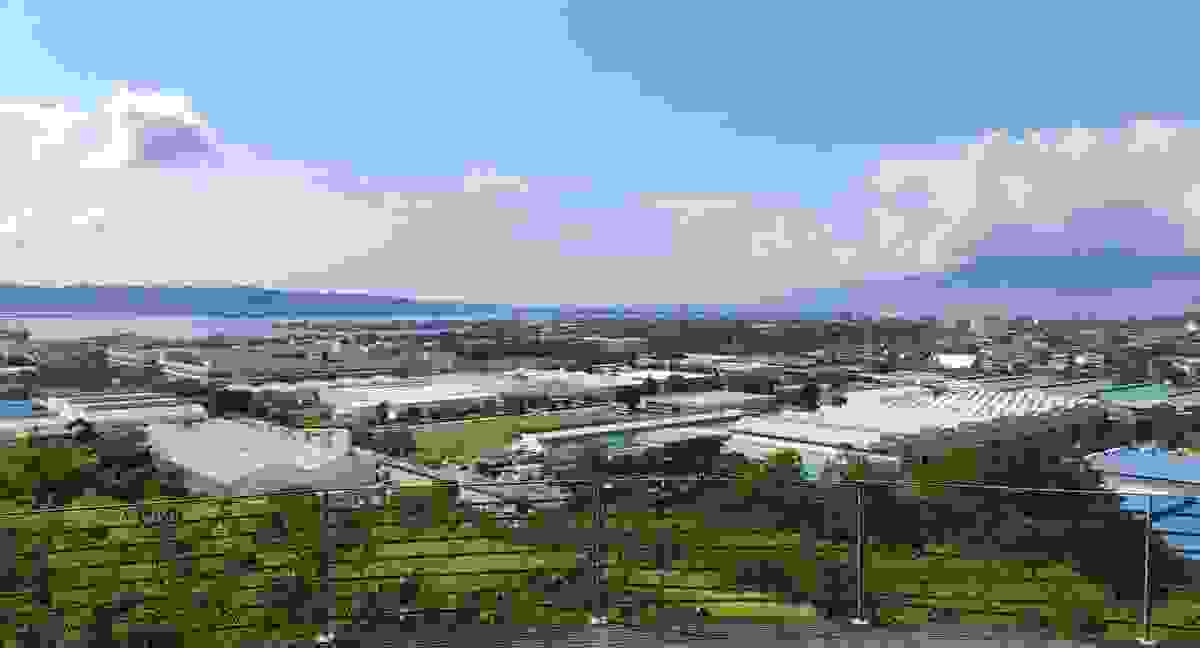 IMAGE OF OLONGAPO