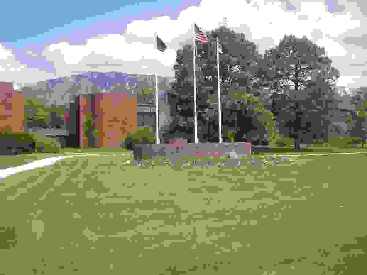 IMAGE OF OREM