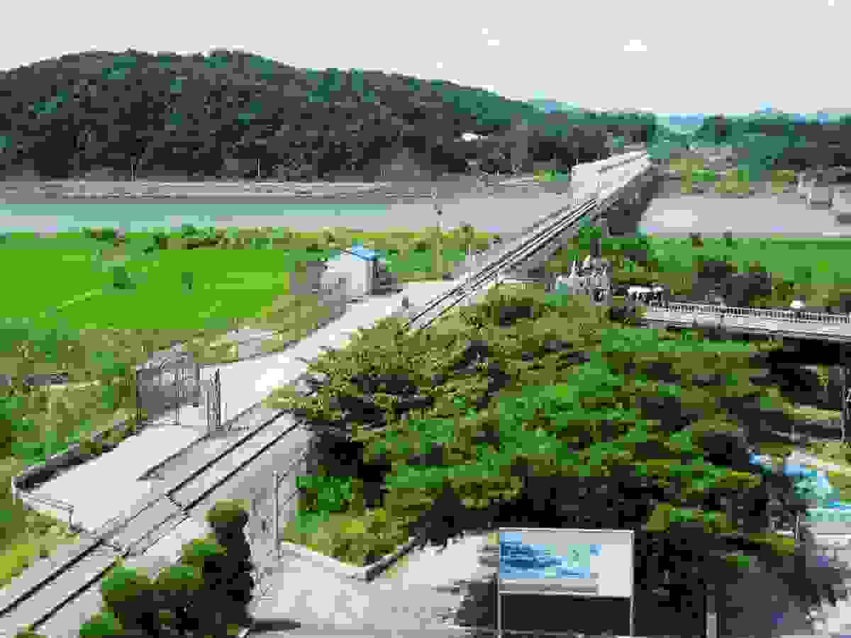 IMAGE OF PAJU