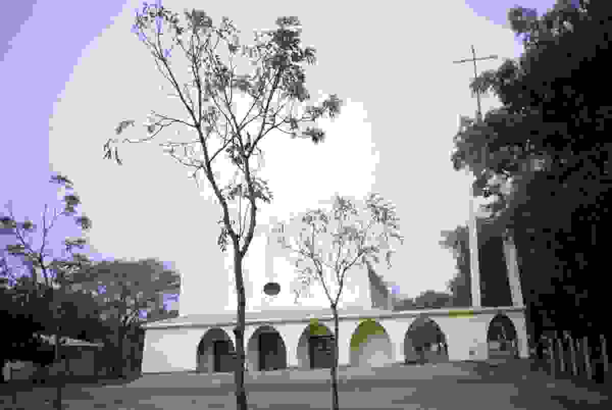 IMAGE OF PALA