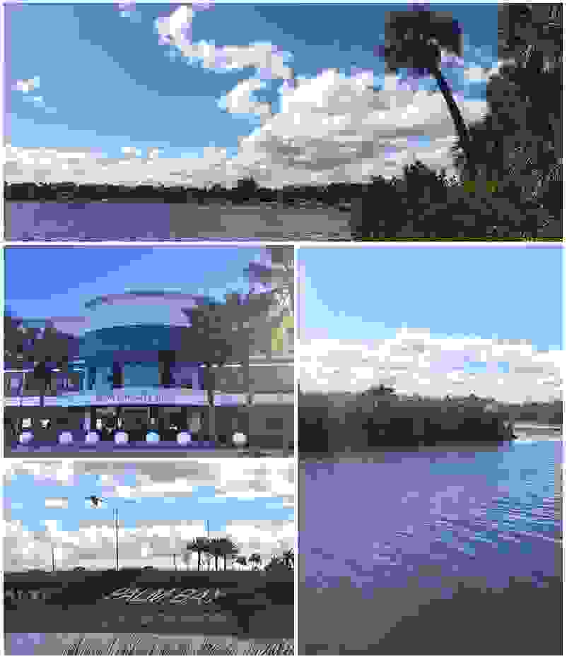 IMAGE OF PALM BAY