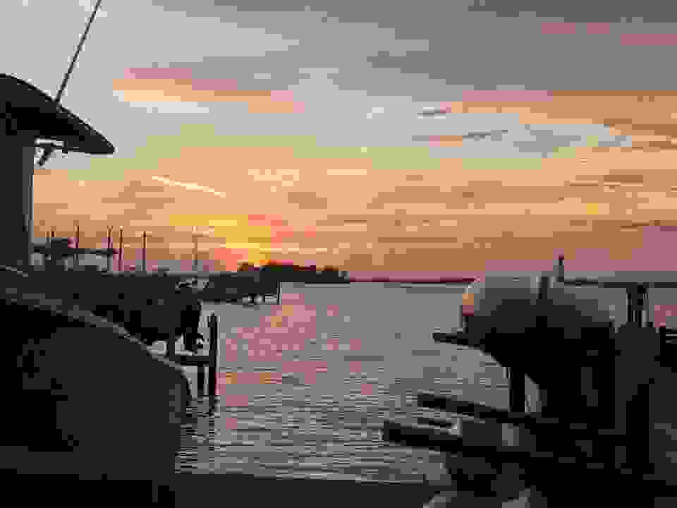 IMAGE OF PALM HARBOR