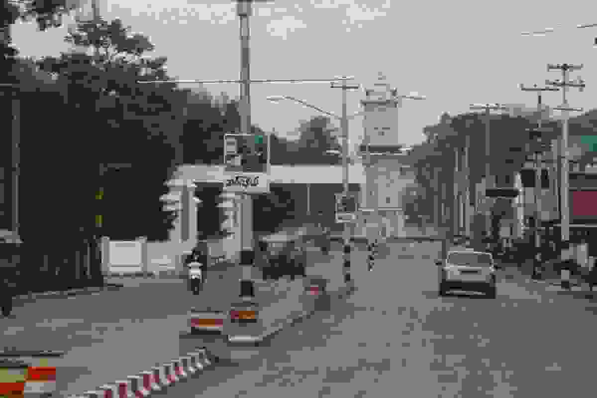 IMAGE OF PATHEIN