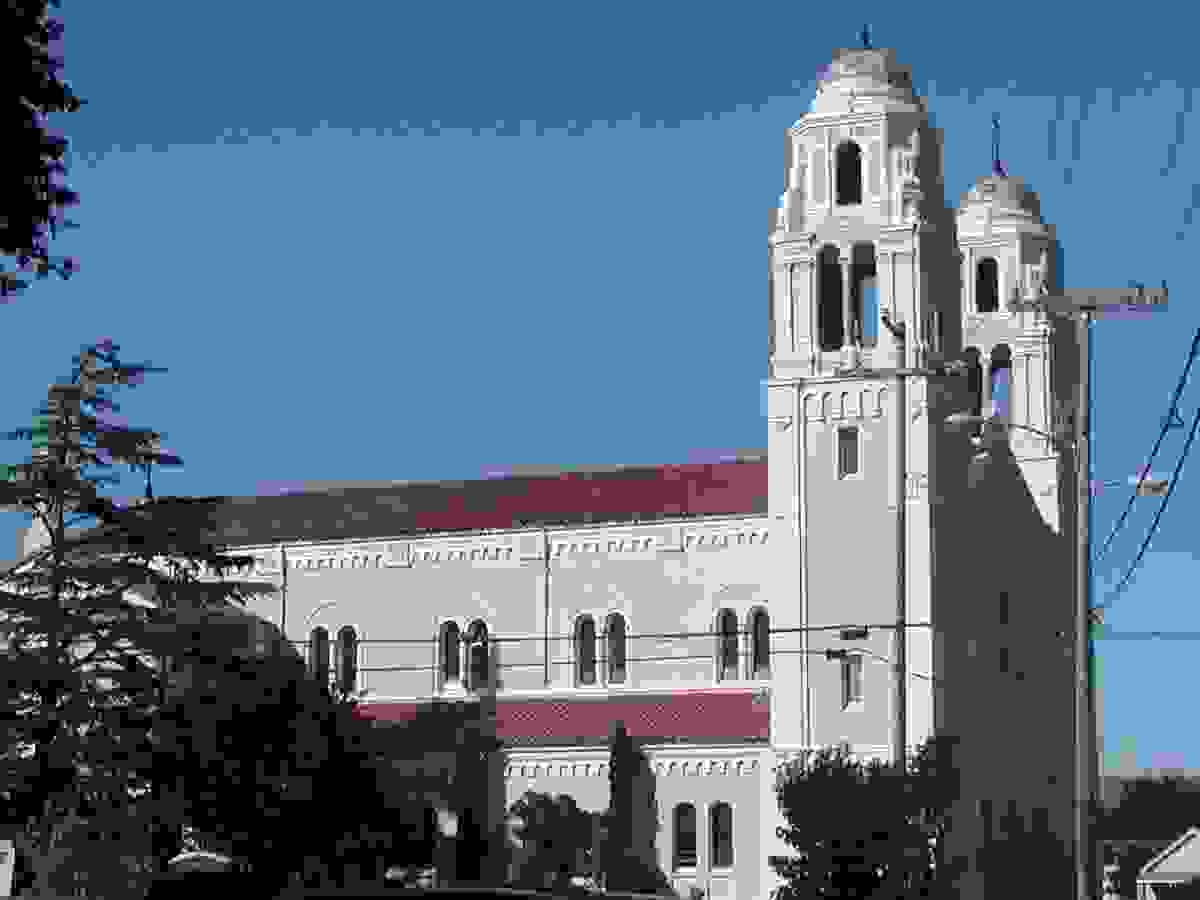 IMAGE OF PETALUMA