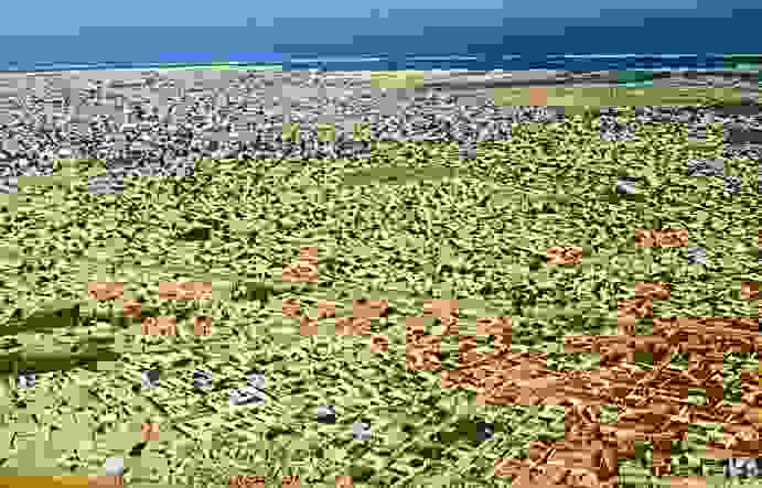 IMAGE OF PIKINE