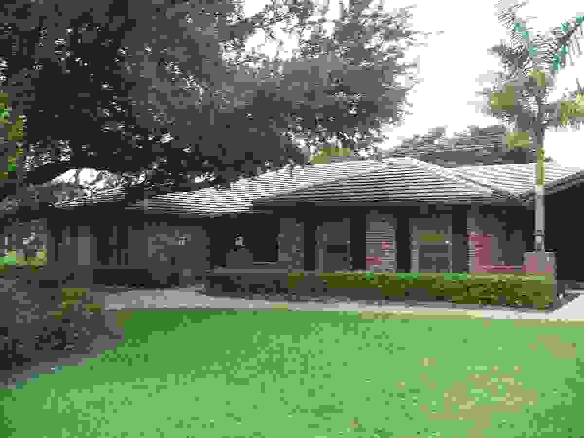 IMAGE OF PLANTATION