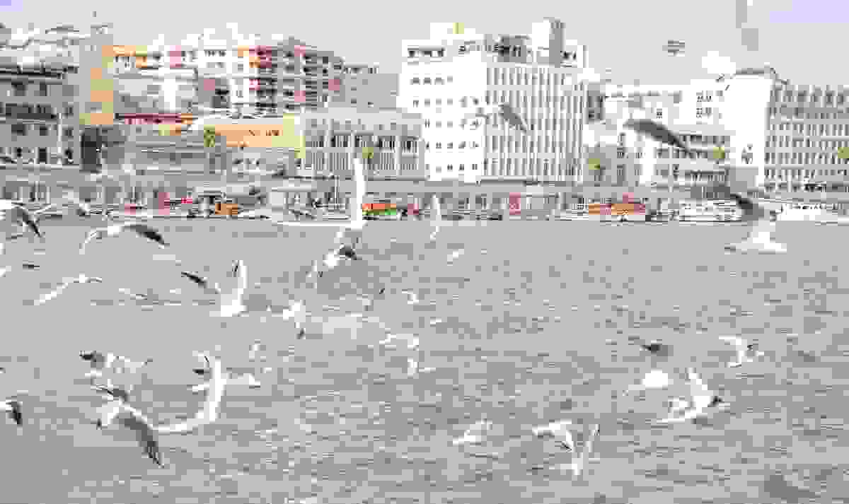 IMAGE OF PORT SAID