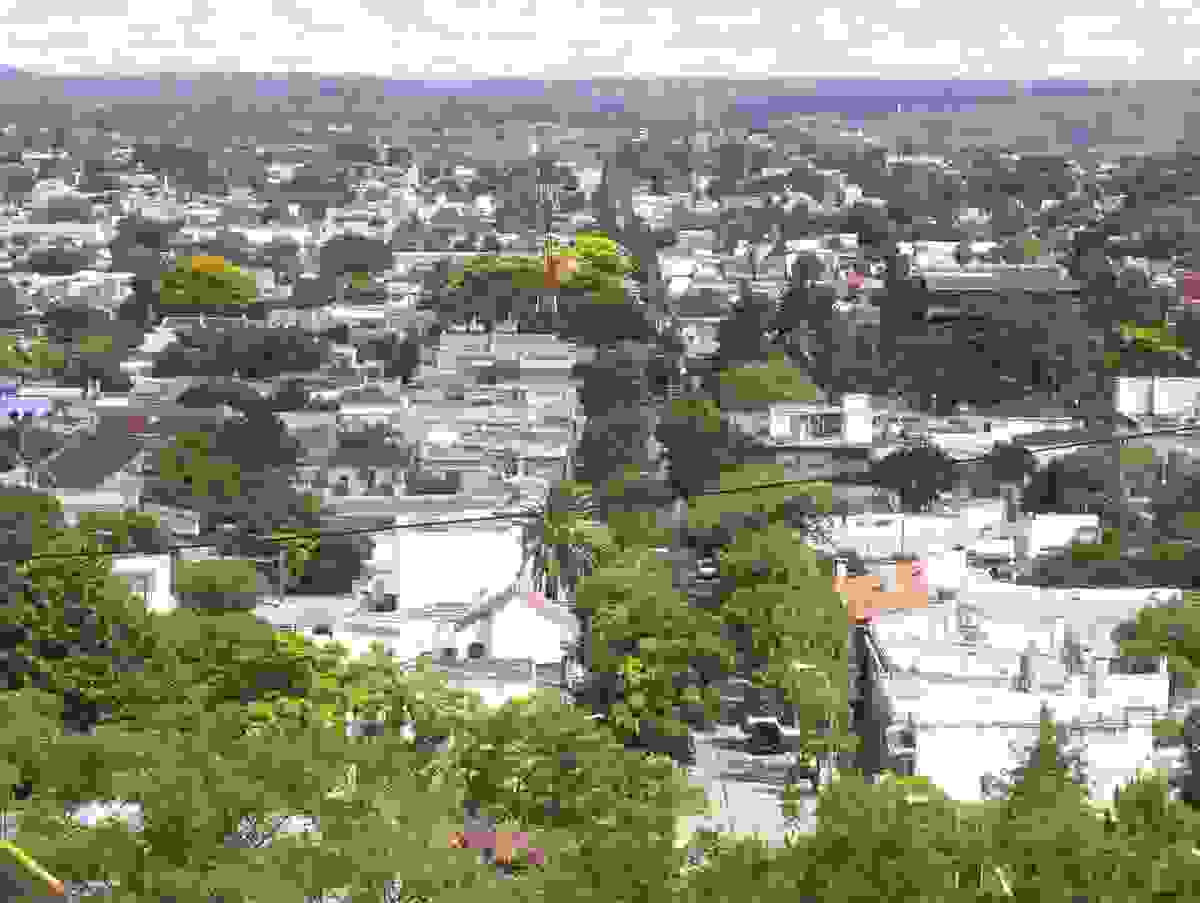 IMAGE OF RIVERA