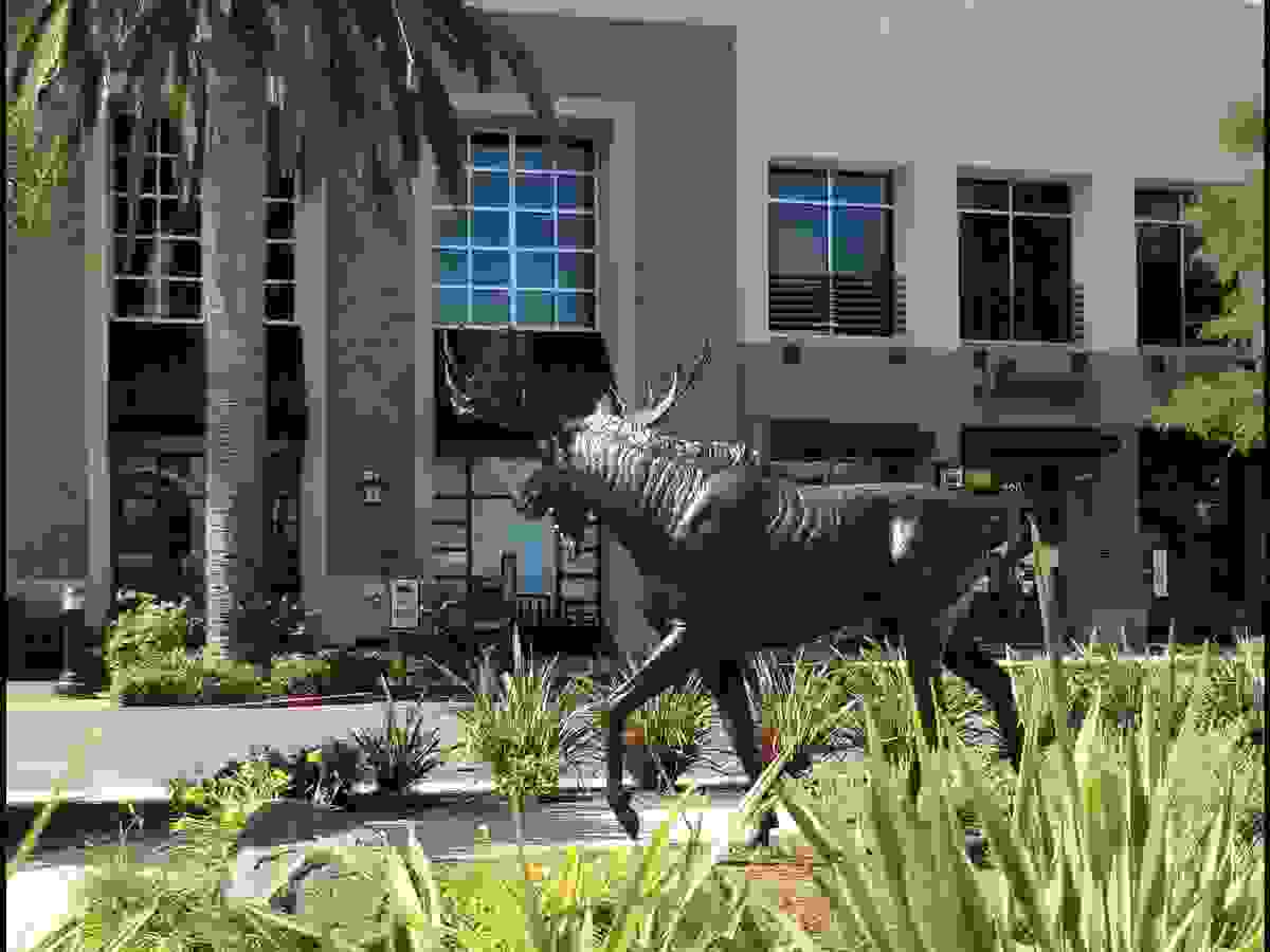 IMAGE OF ROSEVILLE