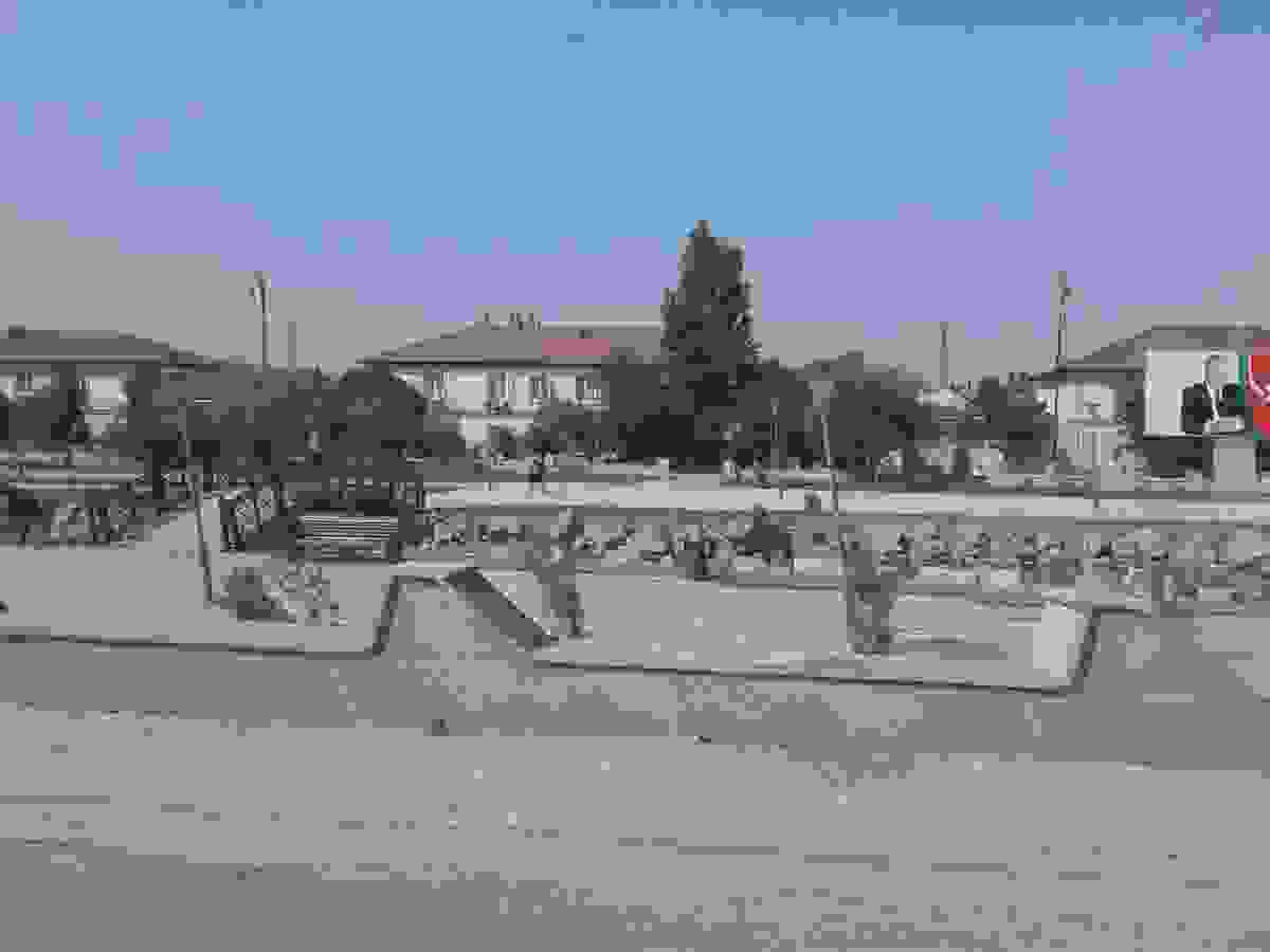 IMAGE OF SALYAN