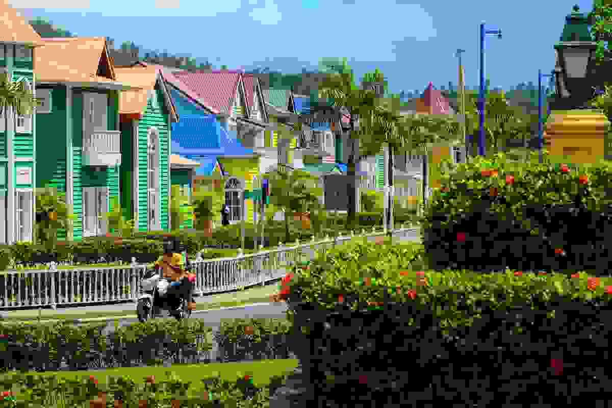 IMAGE OF SAMANÁ