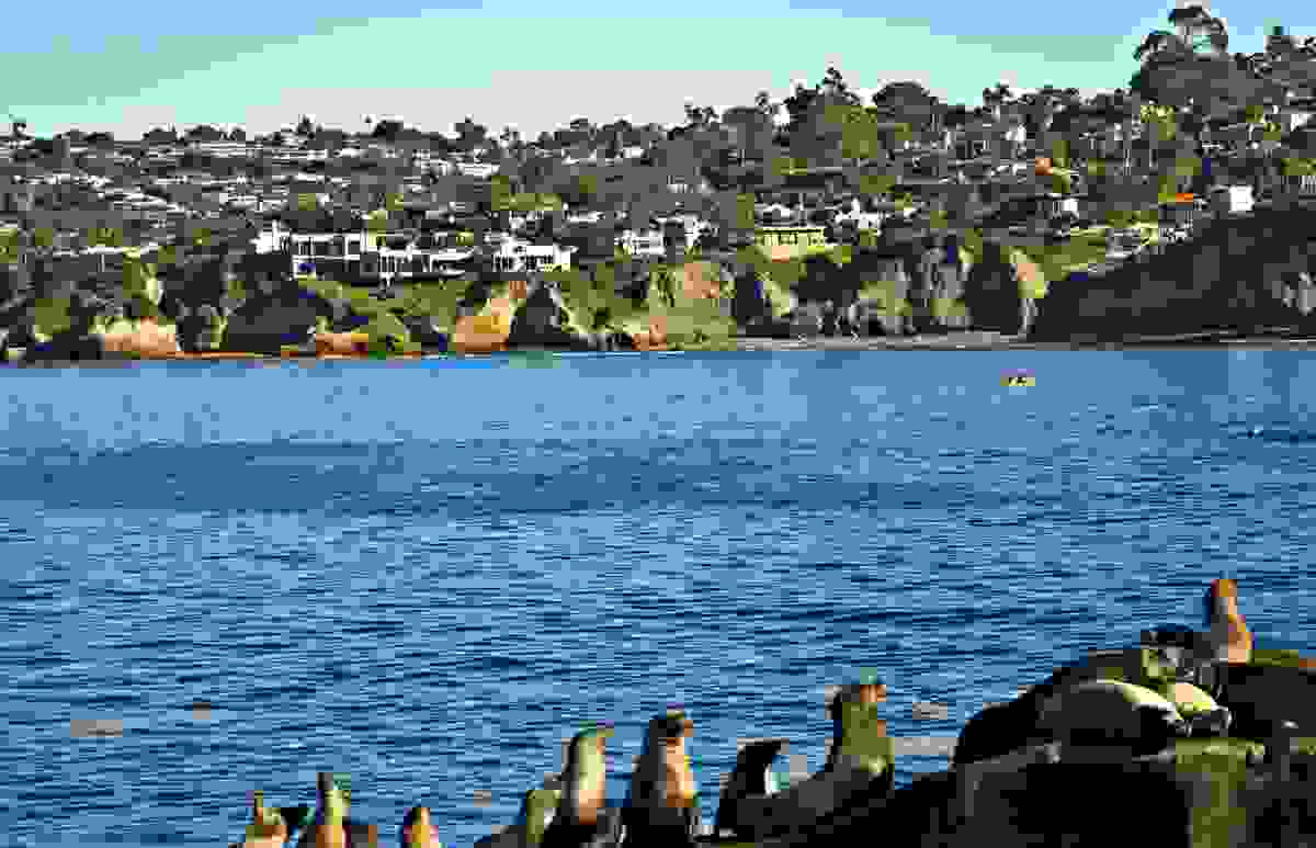 IMAGE OF SAN DIEGO