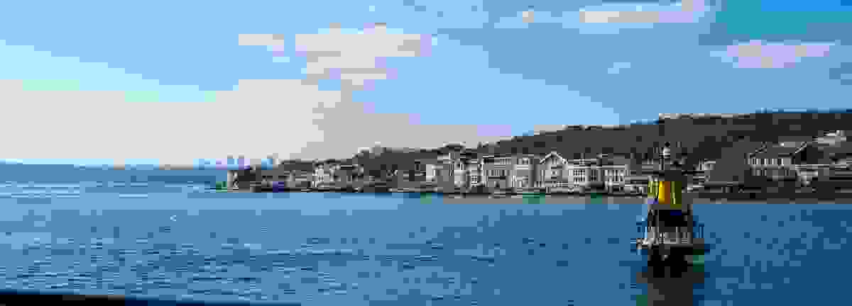 IMAGE OF SARIYER