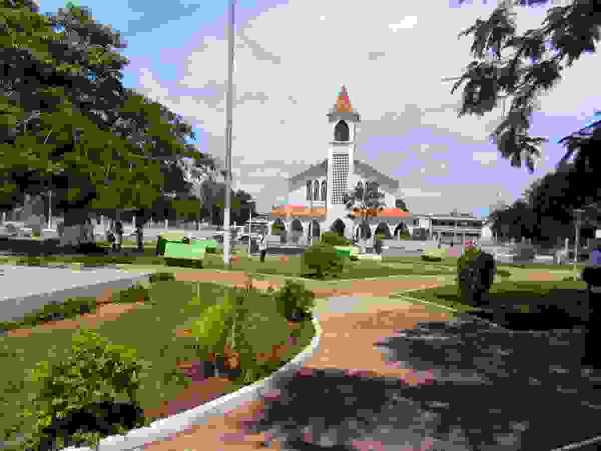IMAGE OF SAURIMO