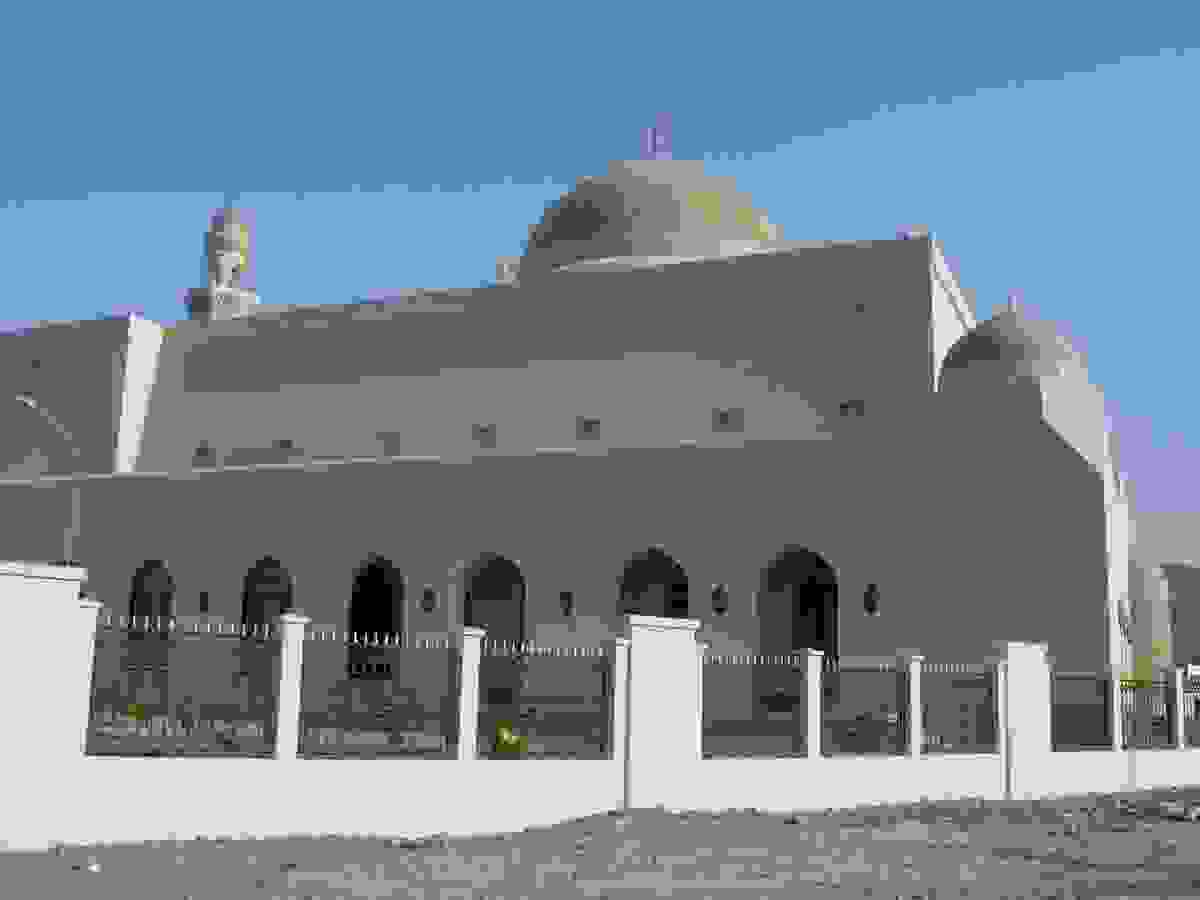IMAGE OF SEEB