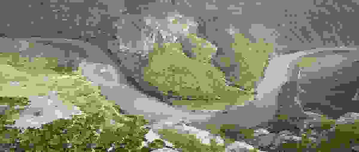 IMAGE OF SIIRT