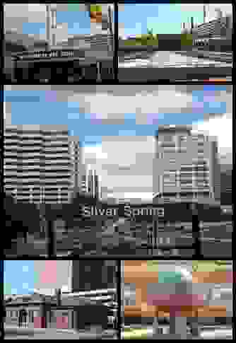 IMAGE OF SILVER SPRING