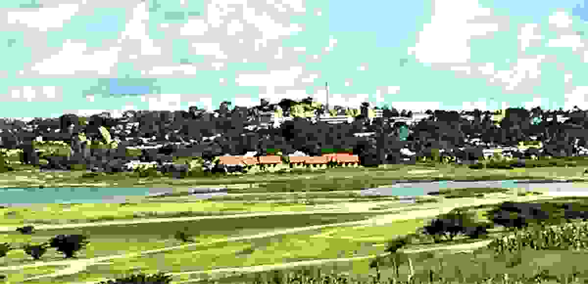 IMAGE OF SINGIDA