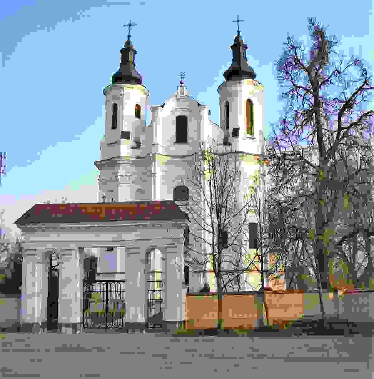 IMAGE OF SLONIM
