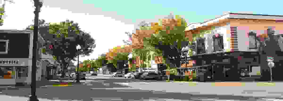 IMAGE OF SPRINGFIELD, OR