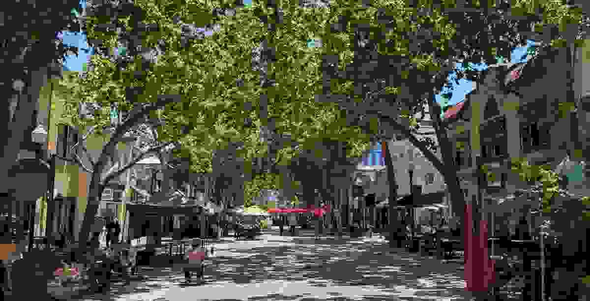 IMAGE OF SUNNYVALE