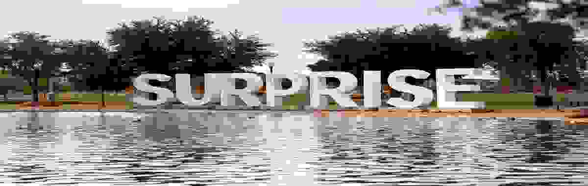 IMAGE OF SURPRISE