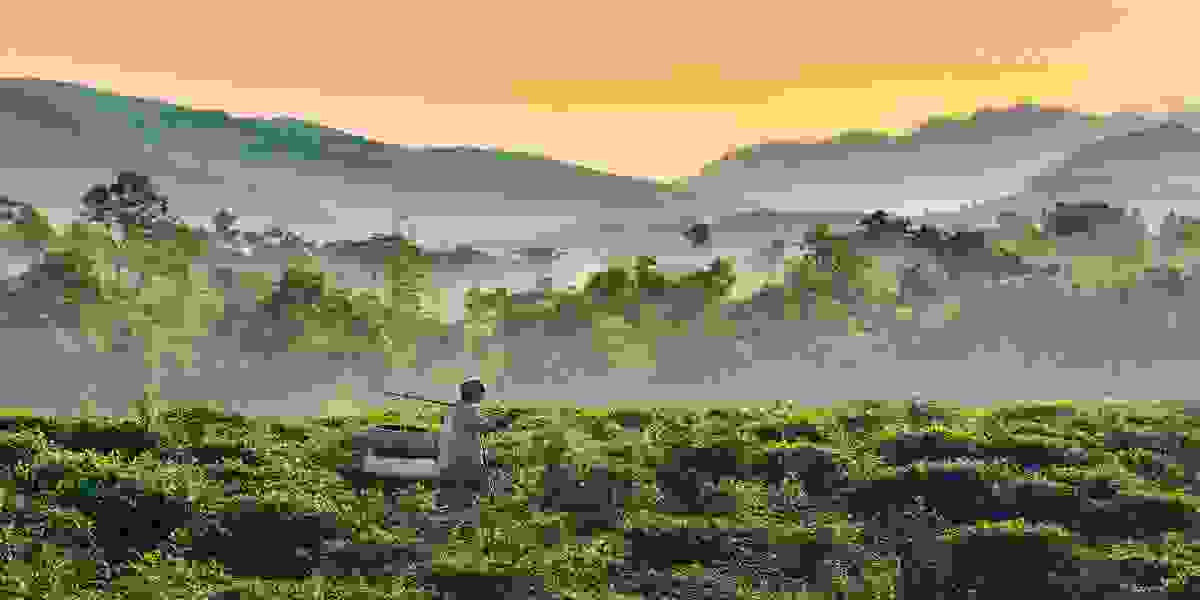 IMAGE OF SYLHET