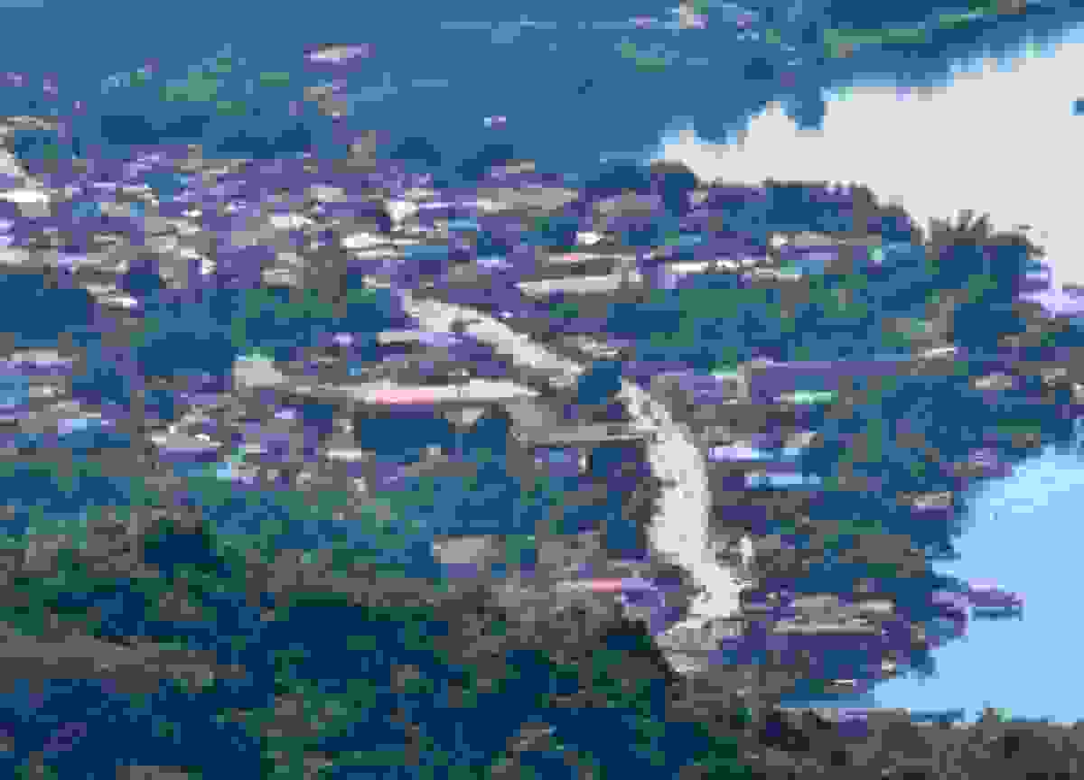 IMAGE OF TALISAY