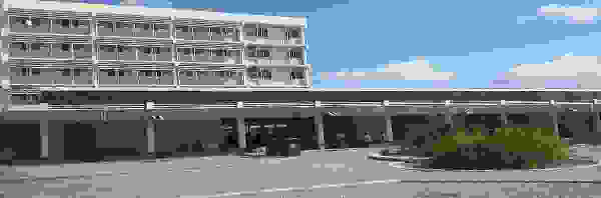 IMAGE OF TAMALE