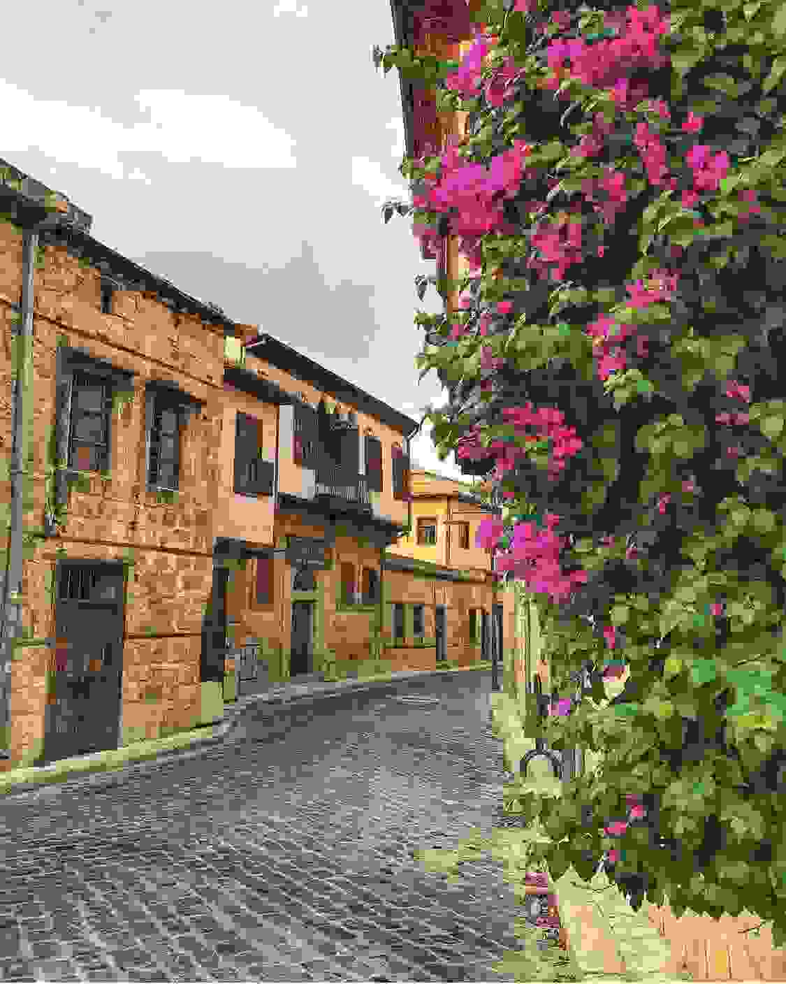 IMAGE OF TARSUS