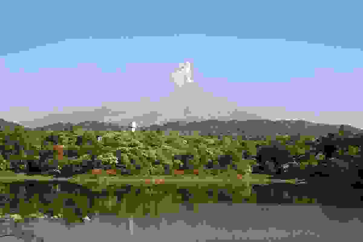 IMAGE OF TECOMÁN