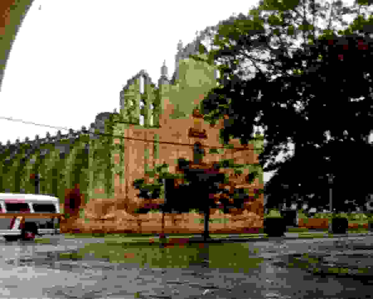 IMAGE OF TEKAX