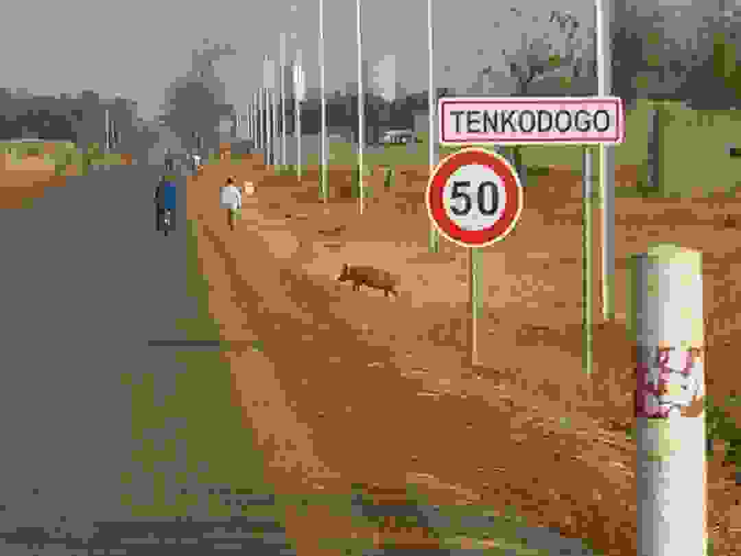 IMAGE OF TENKODOGO