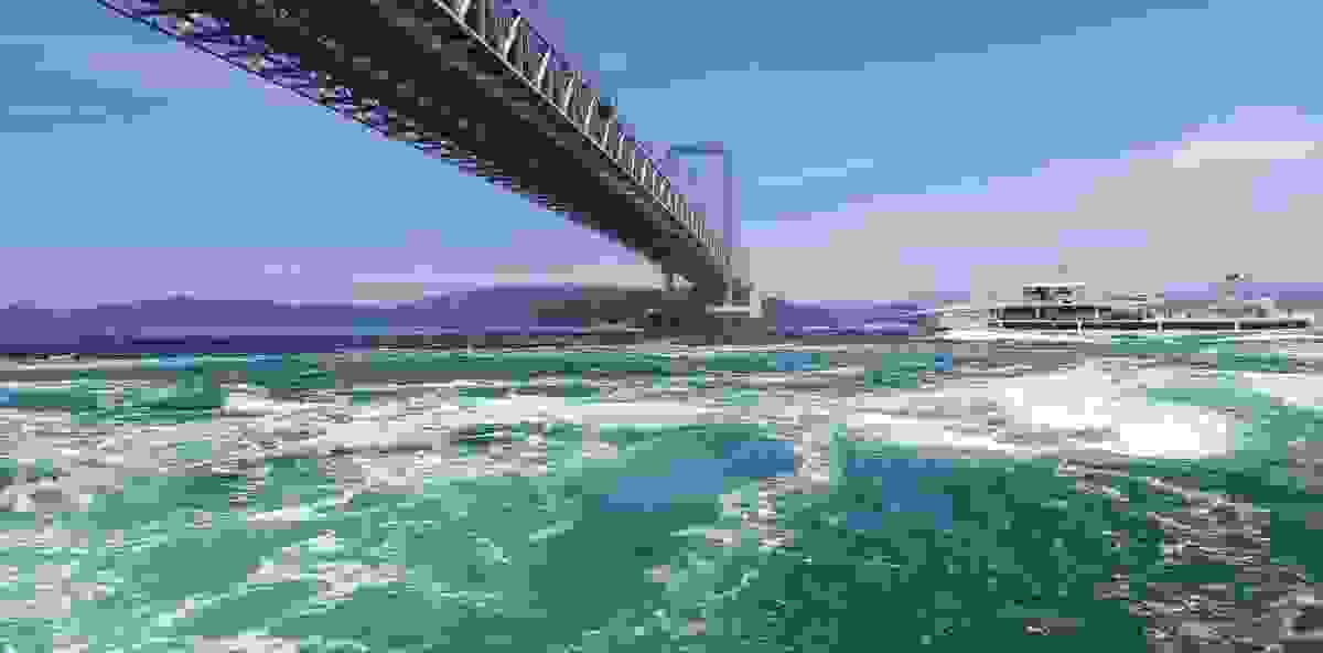 IMAGE OF TOKUSHIMA