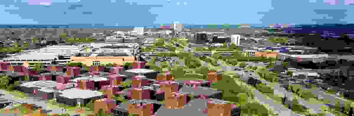 IMAGE OF TROY