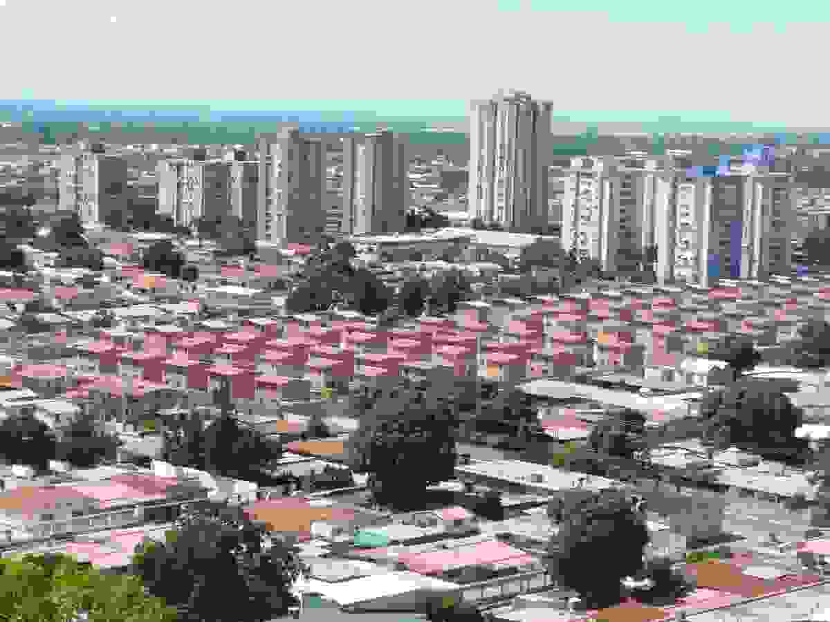 IMAGE OF TURMERO