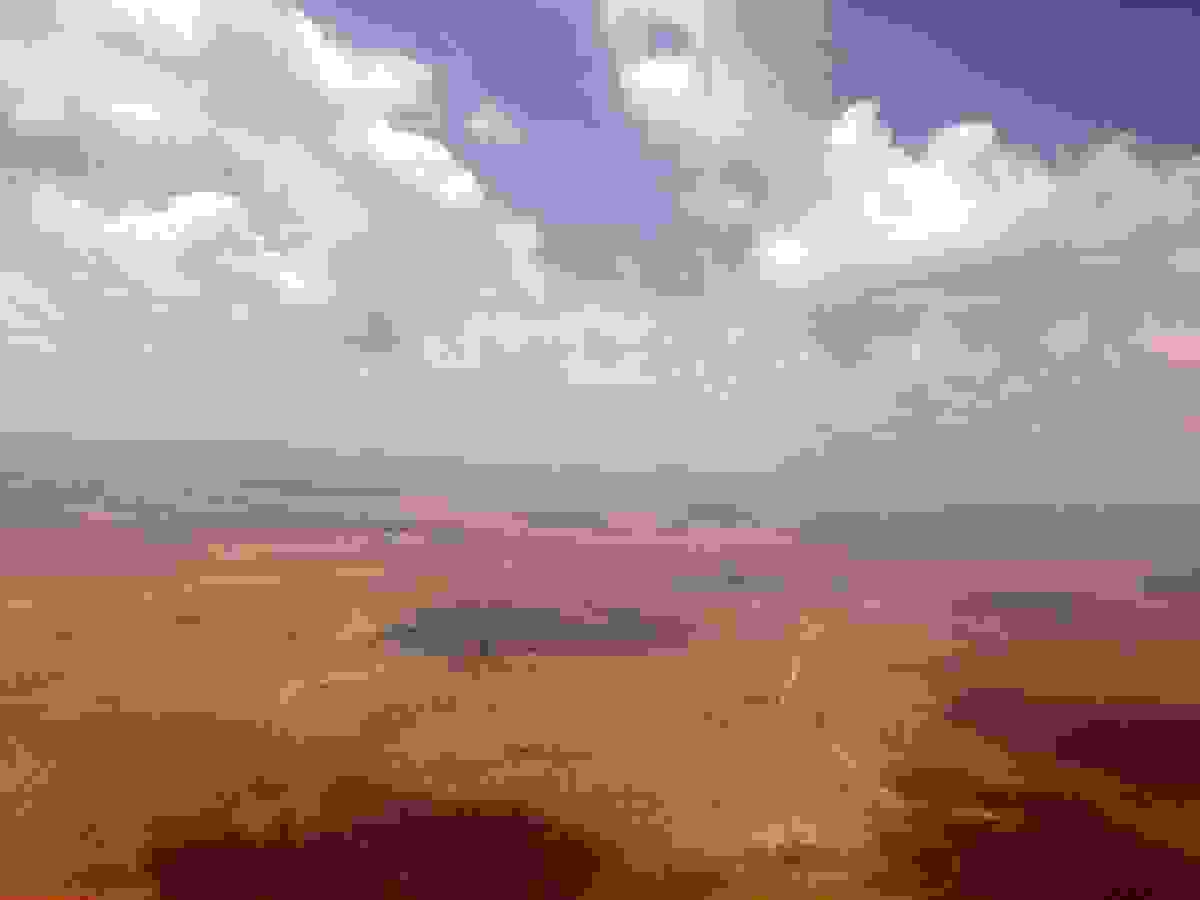 IMAGE OF WAJIR