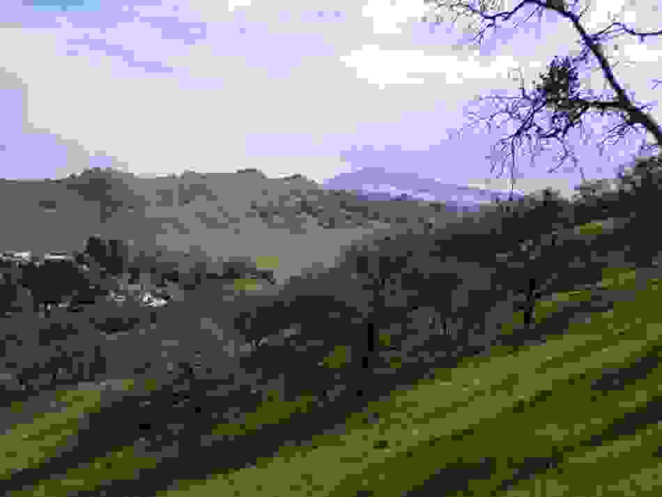 IMAGE OF WALNUT CREEK