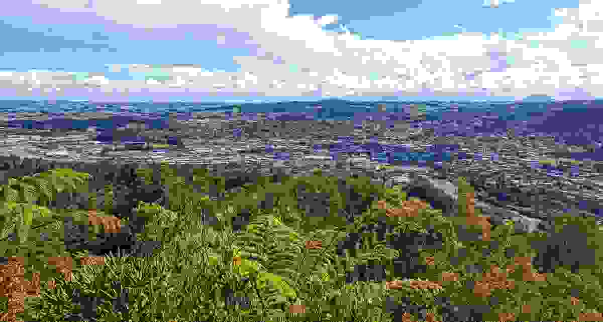 IMAGE OF WHANGĀREI