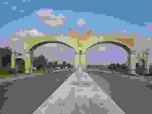 IMAGE OF YOLA