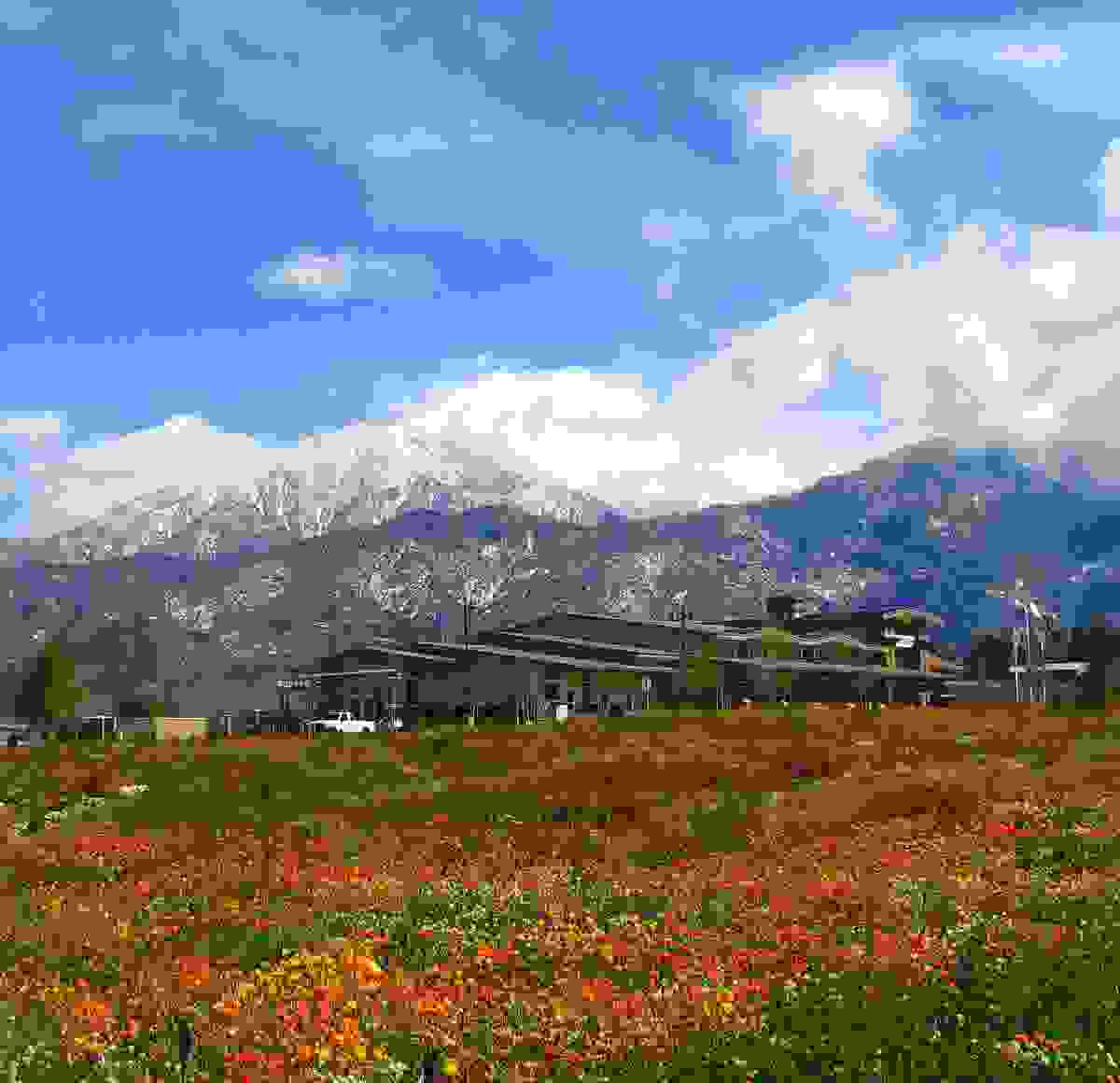 IMAGE OF YUCAIPA