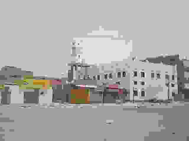 IMAGE OF ZINJIBAR